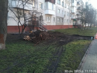 Проводили земляні роботи без дозволу: муніципали у Володимирі виявили підприємця-порушника 