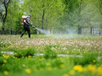 У Володимирській громаді проведуть протикліщову обробку зон відпочинку - новини Володимир-Водинського У Володимирській громаді проведуть протикліщову обробку зон відпочинку