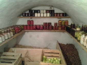 Дезінфекція підвалів і погребів для зберігання продуктів 