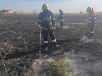 У Локачах покарають чоловіка, який спалив 7 гектарів сухої трави 