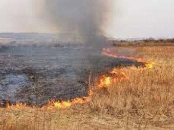 Недопустимо  пожеж під час жнив! 