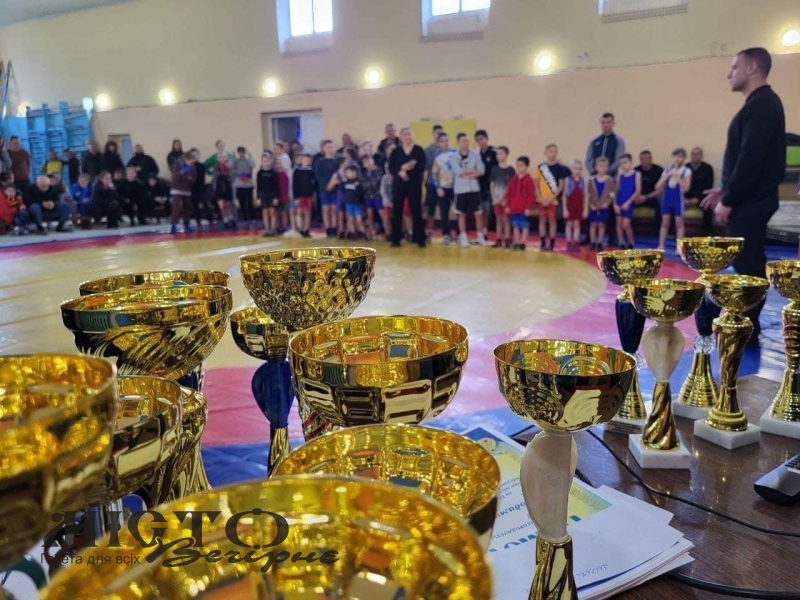 Спортсменів з Іваничівщини нагородили грошовими преміями за високі результати на чемпіонатах України 
