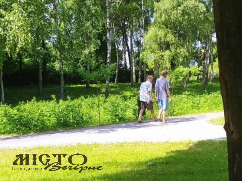 У Володимирі з парку поцупили тую 