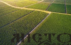Затурцівська сільська рада розірвала договір оренди на землю із фермерським господарством 