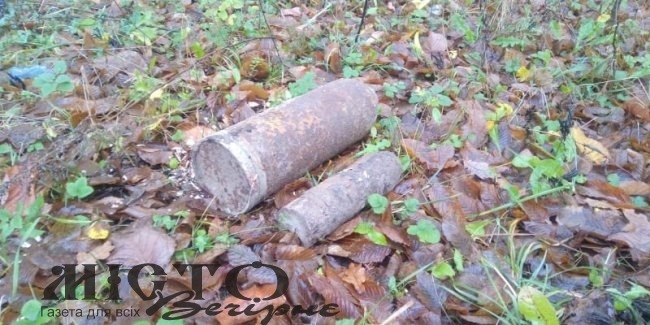 На Волині чоловік у полі знайшов мінометну міну 