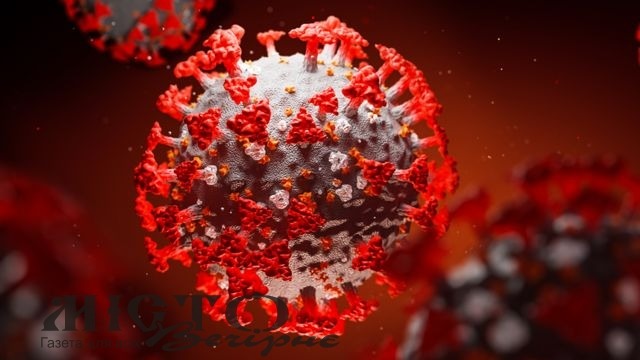 51 новий випадок СOVID-19 зафіксували у Володимирі та навколишніх громадах 