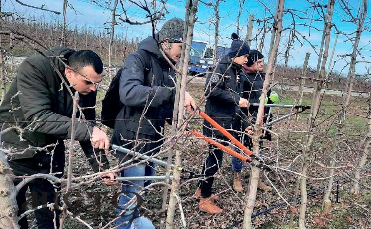 Сезонні роботи в саду 