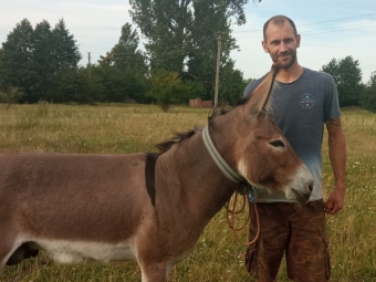 У домашньому господарстві родини з Сельця живуть кролики 12-ти порід, папуги, та найцікавішим є віслюк Мойсей 