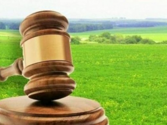 У Володимирській громаді відбудуться земельні торги 