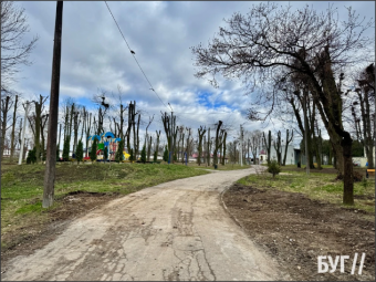 У парку Нововолинська знесли «вежі» 