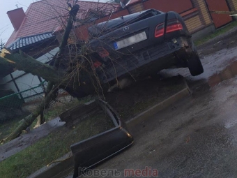 У Ковелі легковик зніс дерево і вилетів на тротуар 
