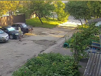 У Володимирі мешканка багатоповерхівки бореться з непроханими гостями в оригінальний спосіб 