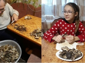 У турійських лісах досі збирають гриби 