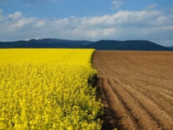 У росіян і терористів забиратимуть незаконно куплену українську землю 