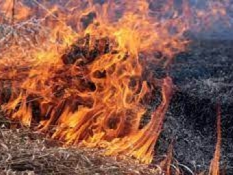 У Володимир-Волинському районі екоінспектори оштрафували 13 осіб 