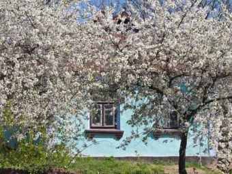 В Іваничах судили пенсіонера, який облаяв сусідку через не поділену вишню 
