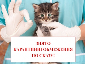 Зняли карантинні обмеження через сказ у Володимирі 