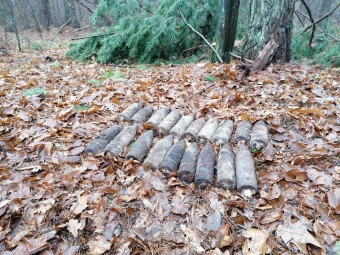 За рік волинські піротехніки здійснили понад тисячу підривів 