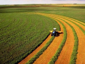 Ринок землі працює. Скільки коштує гектар і як продати землю? 