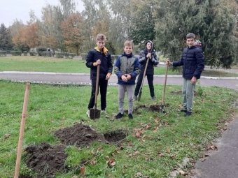 Жителі Іванич проігнорували толоку в місцевому парку поблизу пам’ятного знаку «Герої не вмирають» 