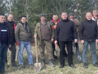 Озеленення Локачинської громади: висаджено понад 250 сосен 