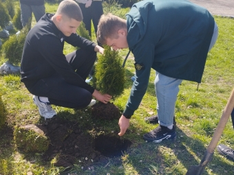 Випускники Привітненського ліцею висадили дерева на території закладу 