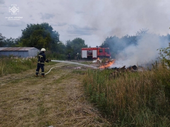 У Нововолинську горіло сміття 