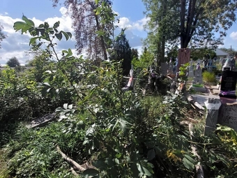 На Ладомирському кладовищі у Володимирі впало старе дерево 