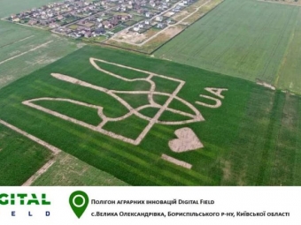 В Україні на поле висіяли найбільший в країні Державний герб 