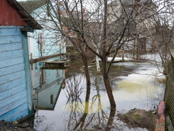 У Володимирі підняття ґрунтових вод спричинило масові підтоплення будинків 