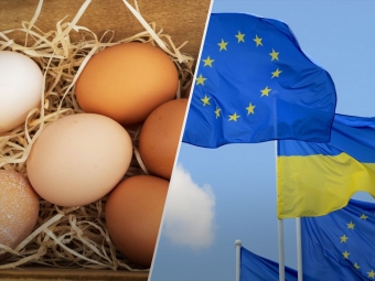 ЄС відновив митні квоти для України 