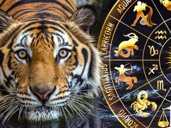 Що віщують зорі у новому 2022 році 