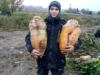 Україна вистоїть з такими українцями, переможе, а згодом стане найбагатшою країною світу 