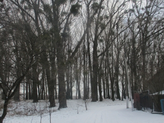 ВЕЛЕСІВЩИНА – ВІДГОМІН ВІКІВ 