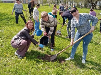Колектив і учні Павловичівського ліцею висадили «Сади Перемоги» 