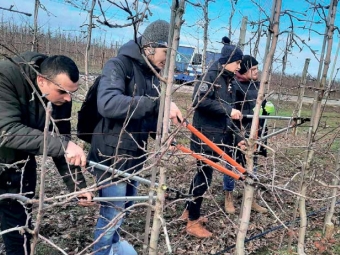 Сезонні роботи в саду 