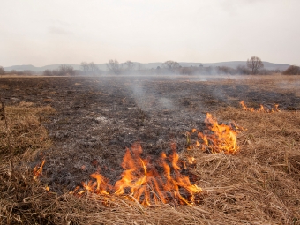 В Іваничах рятувальники ліквідували горіння сухої трави 