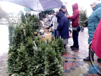 БЕЗЦІННИЙ СКАРБ 
