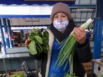 Як без землі, досвічування і насіння виростити зелень удома 